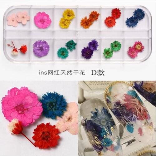 DIY Nail Dried Flower 12 Color Star Sun Flower Small Daisy 12 Color Dried Flower Decoration Nail Dried Flowers T1588