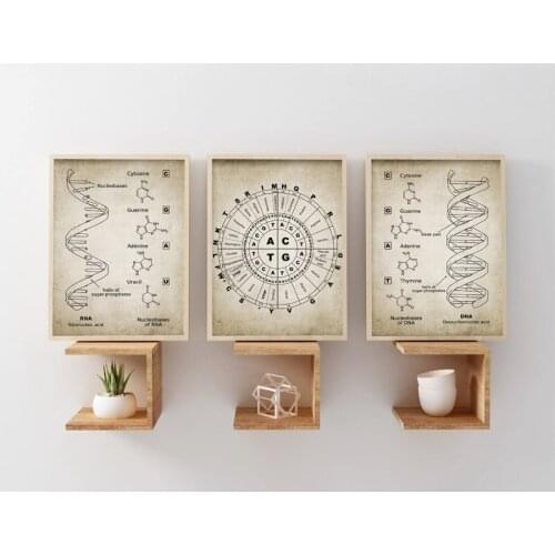 DNA and RNA Genetic Code Wall Art Canvas Painting Prints Genetics Biochemistry Student Gift Vintage Posters Science Wall Decor