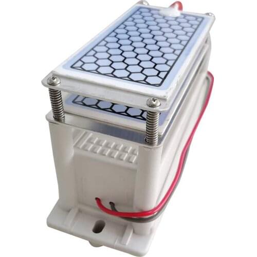 DC12V / AC110V/AC220V 10g Ozone Generator Ozonio Gerador 10G (Ozone Generator Accessory) Ozonator for Air Purifier