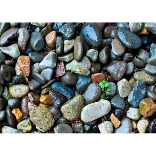 Moist Stones Photography Backdrop Vinyl Cloth Fond Background Photo Studio for Toy Pets Children Baby Portrait Photophone Props