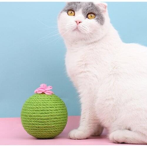 Natural Cat Cactus Ball Biting Tumbler Toy Scratcher Kitten Catnip Motion