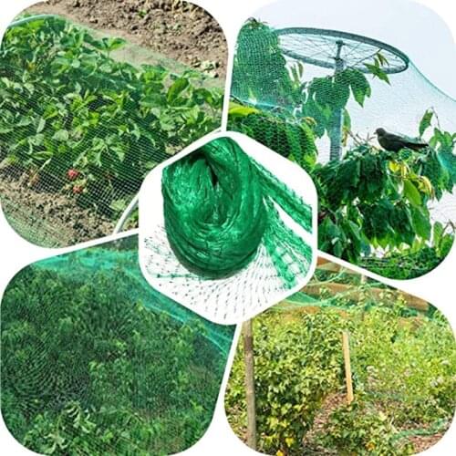 New Anti-bird Net Greenhouse Net Insect Net Plant Cover Fruit And Vegetable Care Cover Net Garden Pest Control