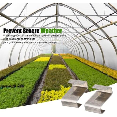 30PCS Glazing Wire Clips Stainless Steel Z Type Fixing Clips Greenhouse Glass Clamp Anti-rust Fixing Nail Prevent Severe Weather