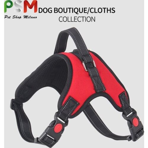 Dog leash dog harness and leash set