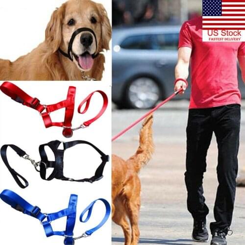 Nylon Pet Dog Mouth Traction Set Rope Muzzle Head Collar Gentle Leash No Pull Straps Training Halter Pet Product