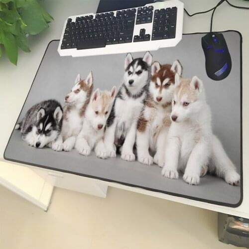 XGZ Animal Large Size Mouse Mat Locking Husky Sled Dog Alaska Collection Pattern Laptop PC Mat Rubber Universal Non-slip