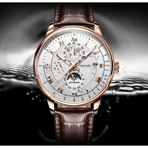 JSDUN Top Brand Mens Mechanical Watch Business Waterproof Automatic Mechanical Watch Luxury Mens Watch Moon Phase Watch 8909