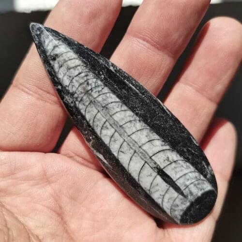 Natural right Angle fossil Crystal Specimen Rare Polished Collectible natural stones and minerals