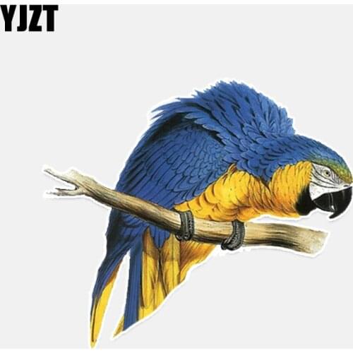 YJZT 14*12.3CM Beautiful Parrots Decor Car Sticker PVC Personalized Colored High Quality 11A0256
