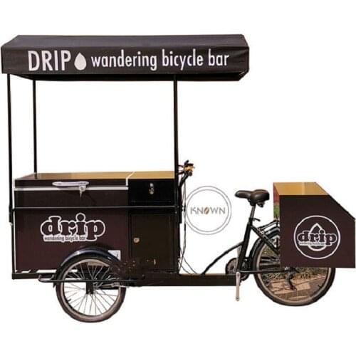 3 Wheel Electric Tricycle Acceptable Refrigerator Tricycle Fruit Coffee Ice Cream Street Food Cargo Bike