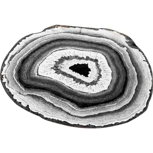 Irregular Natural Tree Ring Round Carpet Girl Bedroom Decoration Living Room Antique Round Floor Mat