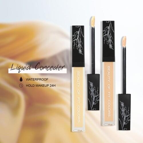 Concealer Liquid Foundation Highlighter Brightening Smoothing Contour Palette Moisturizing Waterproof Lasting Makeup TSLM1
