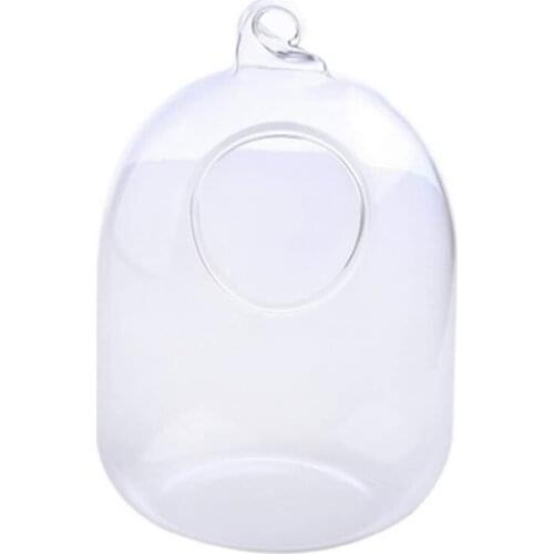 Suspended Transparent Hanging Glass Fish Tank Infusion Bottle Aquarium Flower Pl