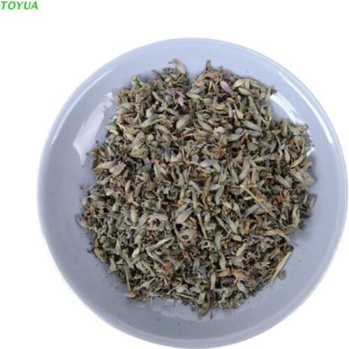 1XCC Cat Mint Natural Organic Premium Treats Catnip Menthol Kitten Funny Flavor Sleep