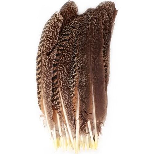 Wholesale 10Pcs Natural Real Owl Eagle Feathers 25-40CM 10-16" Pheasant Feather for Crafts Jewelry Making Carnival Plumes Plumas
