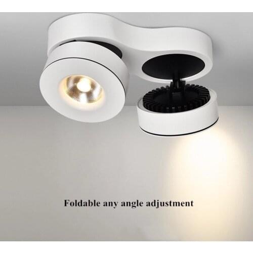 20W30W High Quality Dimmable Surface Mounted LED Down Light Ceiling Spot Lamp, COB Lighting Between