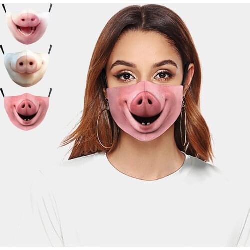 Hot Funny Pet Pig Animal Cosplay Women Men Unisex Masks Face-Protection Dustproof Cycling Street Breathable Adult Party Mask