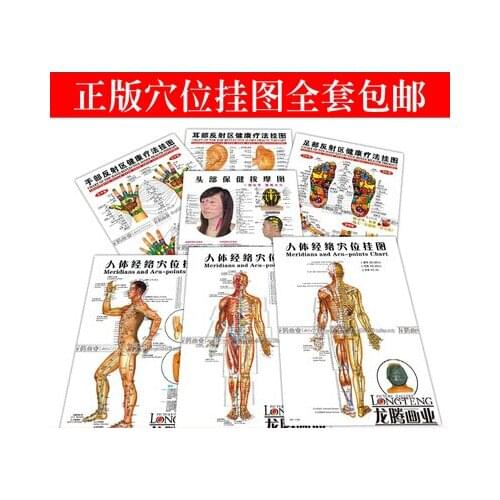 7pcs Acupuncture wall chart Meridians Acu-points Chinese-English Ear Foot reflective zone map free shipping