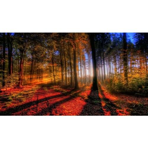 Autumn Art Film Print Silk Poster Home Wall Decor 24x36inch