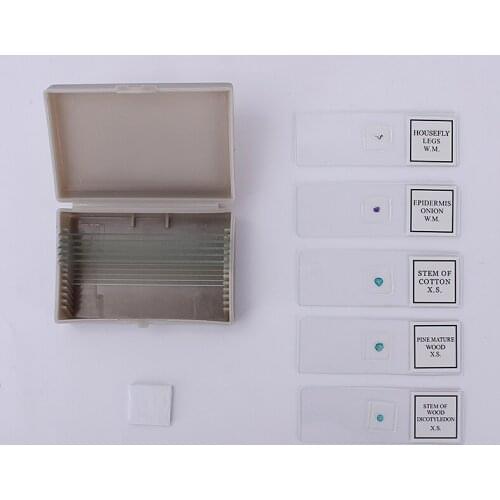 10Pcs Slices (5Pcs Blank and 5Pcs Prepared) with 10Pcs Cover Glass Slips Science Biological Microscope Slices for Student