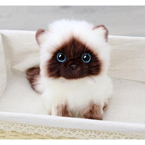 20/26cm Simulation Siamese Cat Plush Toy Blue Sequins Eyes Ragdoll Super Cute Brown and White Face Home Decor Birthday Xmas Gift