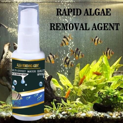 Algae Purifier Aquarium Safe Algae Remover Water Purification for Fish Tank Ponds C1
