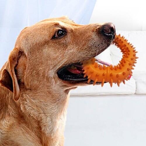 Dog Chew Toys Flying Discs Dog Toys Interactive Training Ring Outdoor for Small Large Pet Dog Toy for Sport