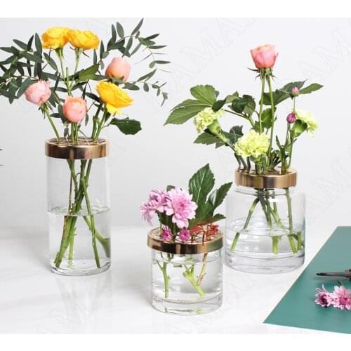 European Grass Vase Retro Golden Stroke Living Room Desktop Modern Flower Vase Transparent Decor Office Dried Flowers Organizer