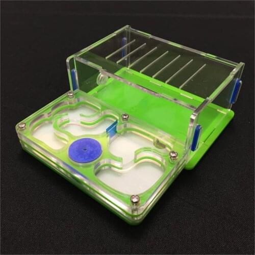 Ant-grape M plane moisture with feeding area ant nest,ant farm acrylic,insect ant villa pet advanced mania for house ants