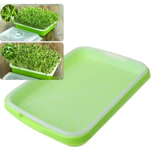 Горшки для рассады SFVEFVD China At AliExpress