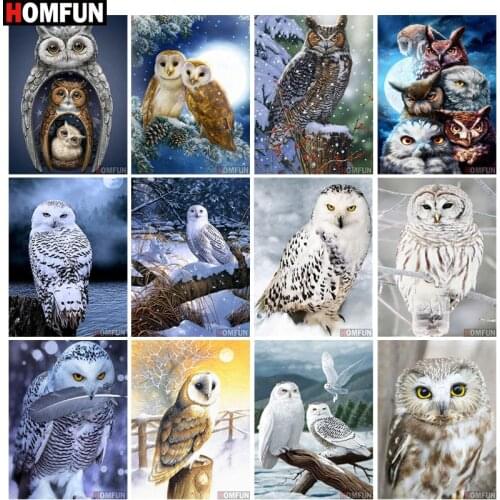HOMFUN Diamond Painting Full Square/Round Drill 5D DIY "snow owl animal" Daimond Embroidery Rhinestone Cross Stitch Decor