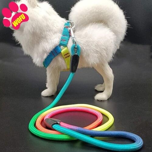 WOFUWOFU Puppy/Rainbow Dog Leash And Harness,Luxury Cat Leash Harness, Style Leash with Easy to Use Collar