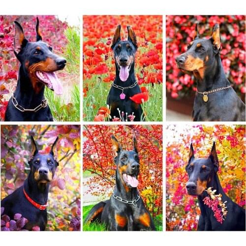 Full Square Round Drill DIY Animal Diamond Painting Cross Stitch Dobermann Pet Flower Mosaic Embroidery Art Wall Room Decor