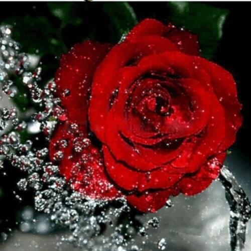 3D Needlework Diy Diamond Painting Cross Stitch Kit Resin Rose Leaf Square Icon Diamond Embroidery Home Decor 5D Wall Stickers