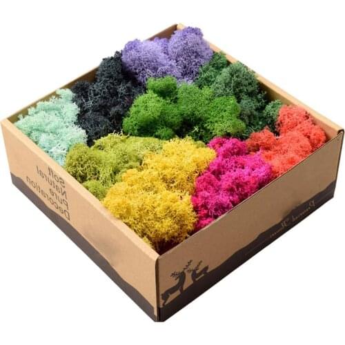 10g Natural Plants Dried Flowers Moss Grass DIY Easter Wreath Wedding Christmas Garland Party Home Garden Decor Real Green Moss