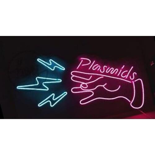 Decorative Light Plasmid Flashing Neon Bulb Light Club Hotel Shop Display Restaurant Enseigne Lumineuse Decorate Room glass TUBE