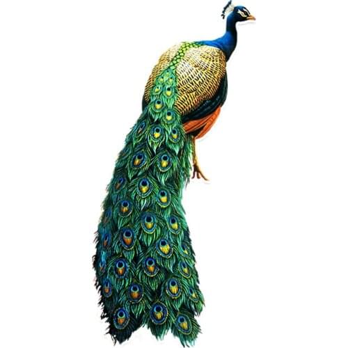 Hot Sell Creative High Quality Fashion Birds Peacock Decor Car Sticker Motorcycle Decals Vinyl Anti-UV PVC