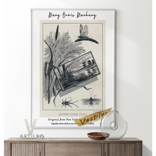 Mary Orvis Marbury Exhibition Museum Vintage Art Prints Poster Insect Illustration Canvas Painting Wall Picture Home Decor Gift
