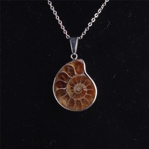 1PCS Reiki Healing Fashion Necklace Natural Ammonite Seashell Fossils Snail Pendants Ocean Conch Reliquiae Pendant for Women Men