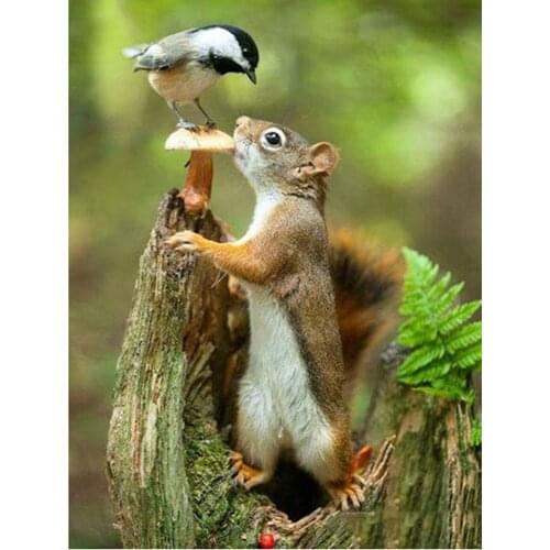 Zhui Star 5D DIY Diamond Painting Full Square/Round Squirrel And Bird Animal Embroidery Handmade Home Decoration Mosaic Creative