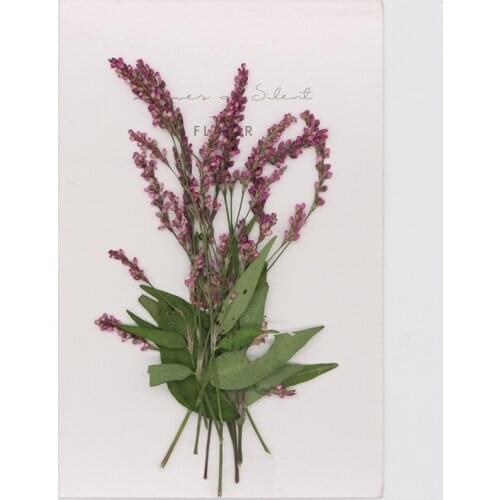 60 Pcs Natural Pressed Purple Pink Grass With Stem Eternal Flowers For DIY Wedding Invitations Craft Photo Bookmark Gift Card