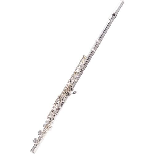 FLOFAIR FL-268 16 Holes White Copper Plated Silver Flute Inst Practice Playing the Obturator Curve in C Tone With E Division Key