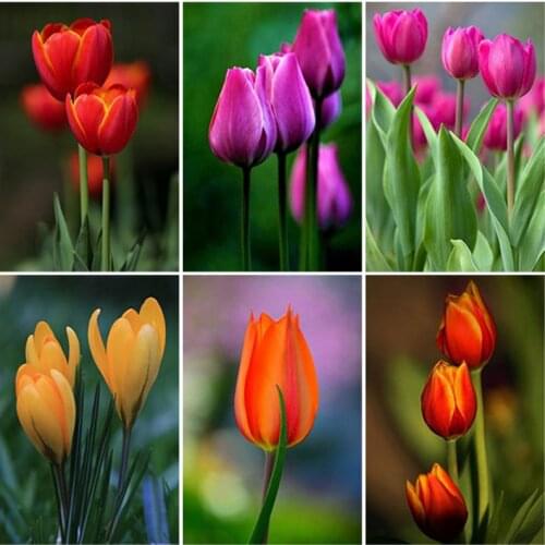 DIY Rose Flower 5D Diamond Painting Full Square Drill Rhinestone Diamond Embroidery Mosaic Cross Stitch Kits Wall Art Home Decor