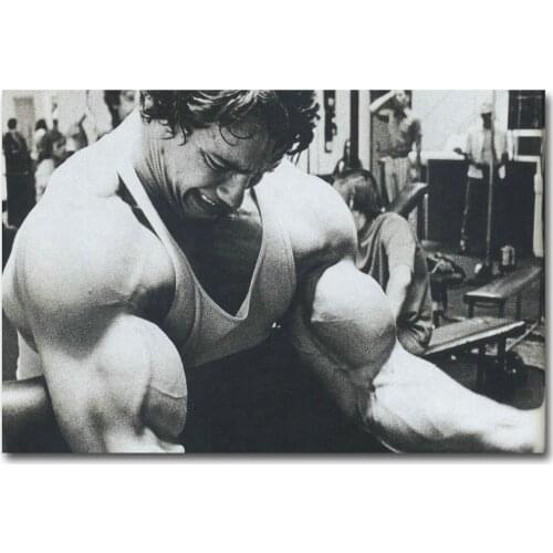 065 ARNOLD SCHWARZENEGGER - Bodybuilding 120 Wall Silk Cloth Poster Art Decoration Gift
