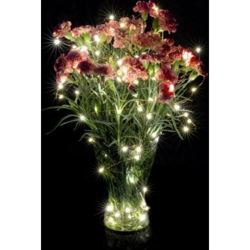 10M 100 led 3 AA Battery Powered Decorative LED Copper Wire Fairy String Lights Warm White White for Christmas Wedding Parties