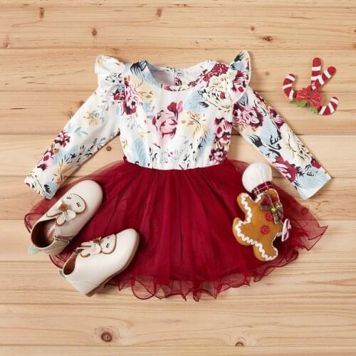 Baby / Toddler Girl Floral Flare Shoulder Splice Tulle Long-sleeve Dress