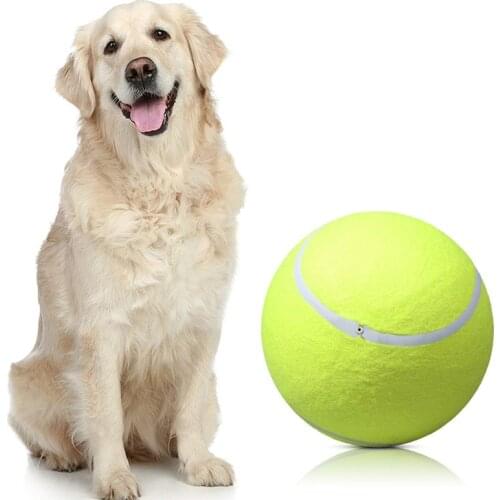 24cm Big Tennis Ball Inflatable Tennis Ball Festival Activity Gift Pet Tennis 9.5' Pet Bite Toy Interactive Dog Toys Puppy Toys