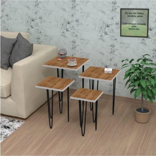 Modern Larose Zigon Coffee Table 4 Pcs (55*40*40-50*35*35-45*30*30-40*25*25) square coffe table