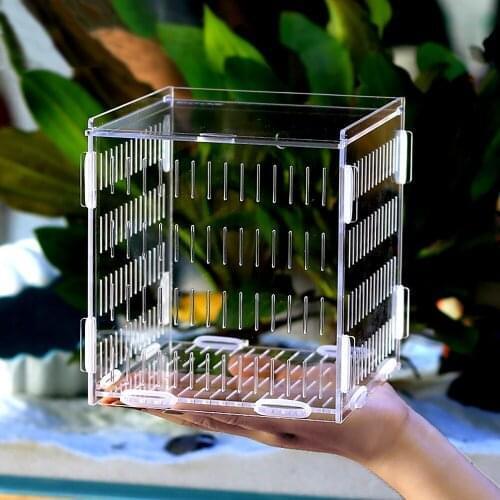 Aquarium fish tank isolation box acrylic guppies isolation box hatching box fry small fish juvenile fish Betta fish breeding box