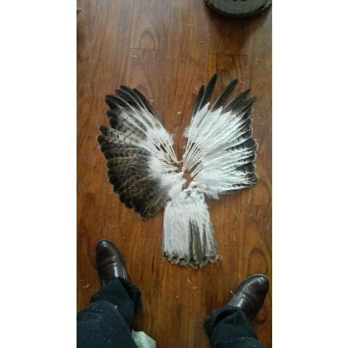 Wholesale high quality 58 pcs Scarce Pattern natural eagle feather 25-40cm / 12-16inch various decorative diy collect